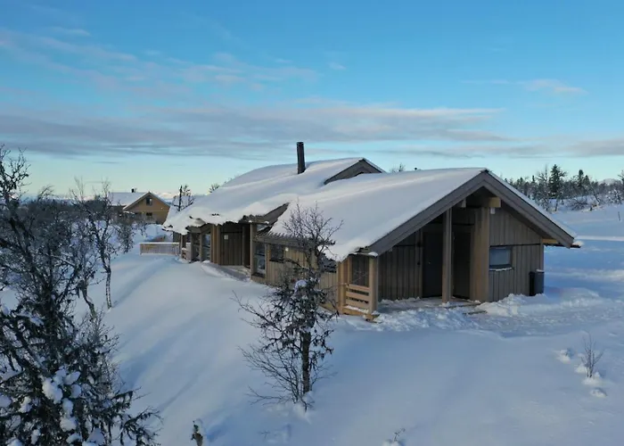 Hedda Lenningen - 3 Bedroom With View Towards Langsua National Park