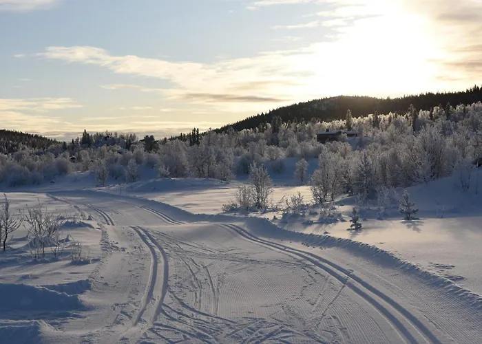 Hedda Lenningen - 3 Bedroom With View Towards Langsua National Park * Etnedal