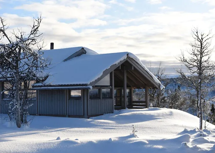 Hedda Lenningen - 3 Bedroom With View Towards Langsua National Park בית נופש Etnedal