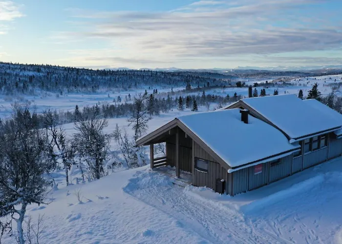 Hedda Lenningen - 3 Bedroom With View Towards Langsua National Park