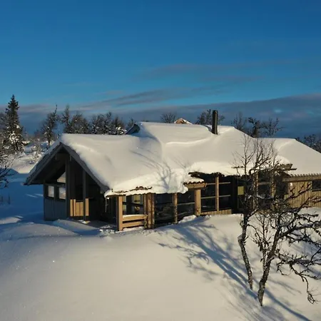 Dom wakacyjny Hedda Lenningen - 3 Bedroom With View Towards Langsua National Park Etnedal